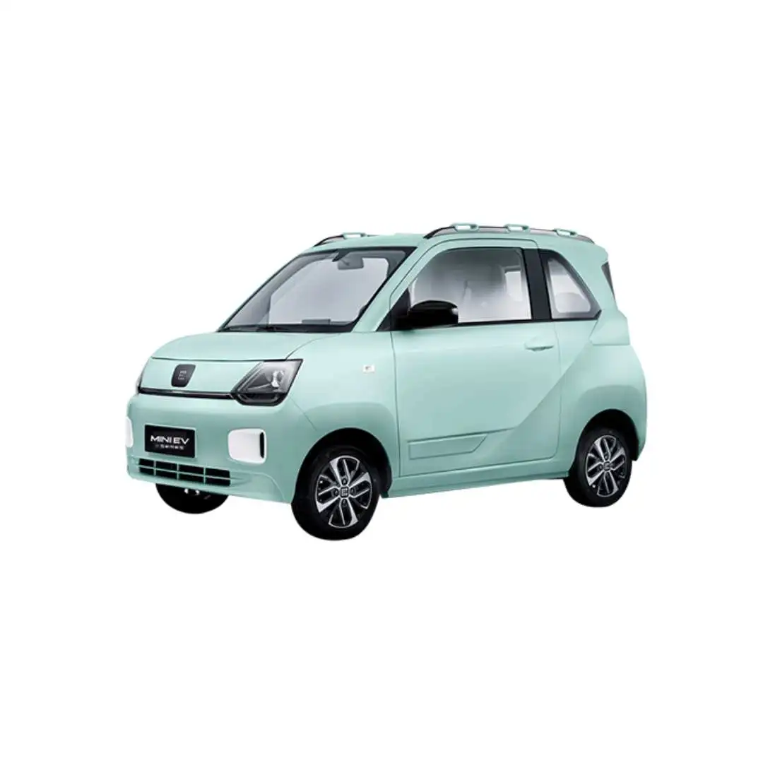 Mini EV Mid Trim